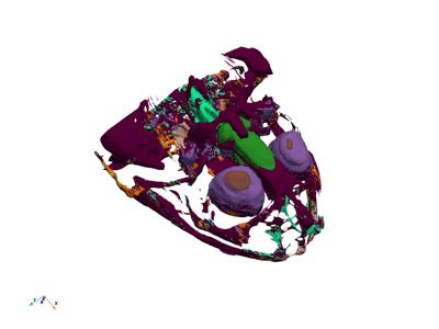 Generated: sphx_glr_slice_010