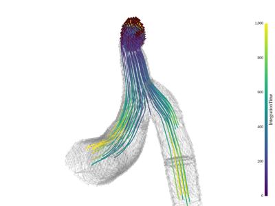 Generated: sphx_glr_streamlines_003_vtksz