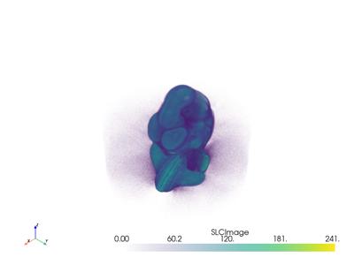 Generated: pyvista-examples-downloads-download_embryo-319e3eecf9900d2b_00_00